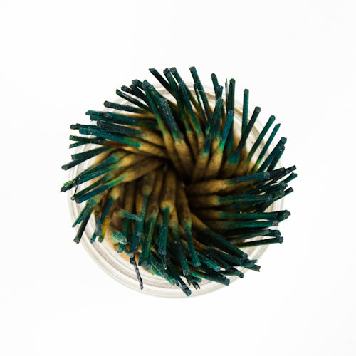 Wildberry Shorties Musk Incense Sticks